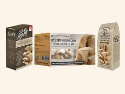 How Custom Mushroom Boxes Enhance Branding and Customer Experience